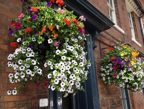 Hanging Baskets | Plantscape | Nationwide Floral Displays