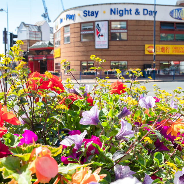 Southside Business Improvement District Plantscape