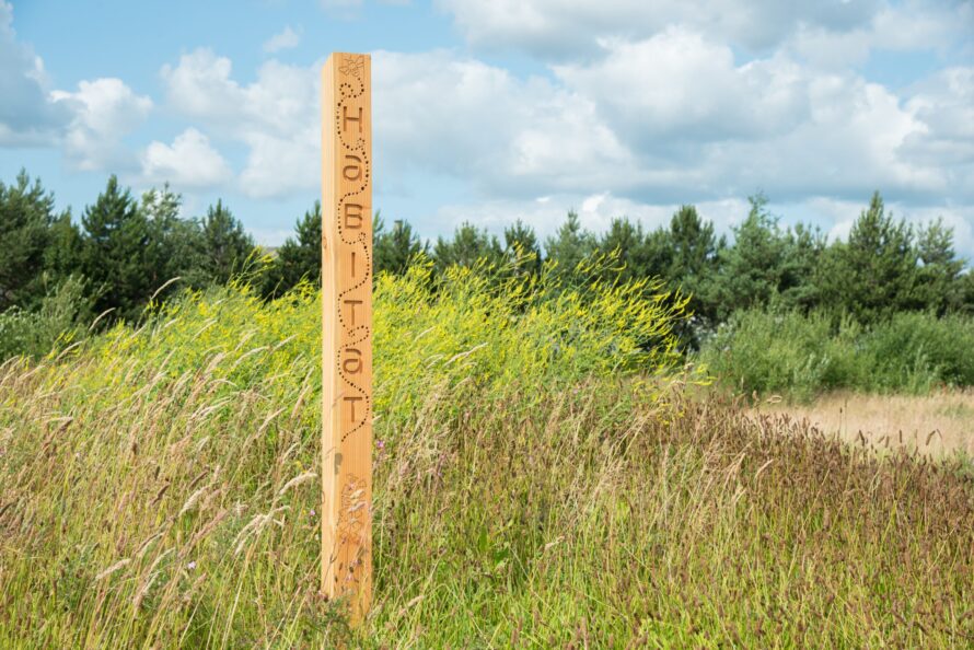 Wooden post among long wild grass