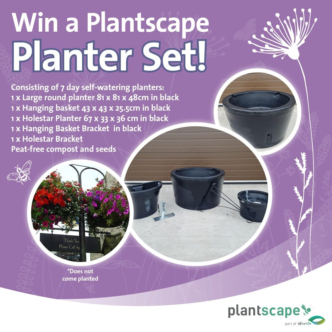 graphic of planter set purple background