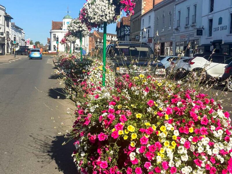 Plantscape Image Block Year with Stratford In Bloom2