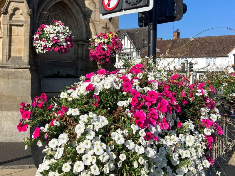 Plantscape Image Block Year with Stratford In Bloom6