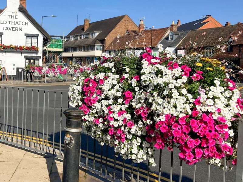 Plantscape Image Block Year with Stratford In Bloom5
