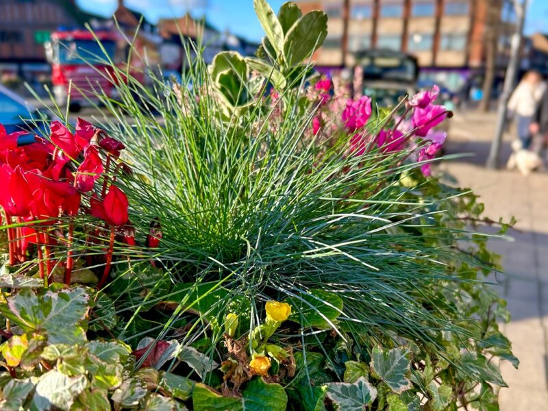 2Plantscape Image Block Year with Stratford In Bloom